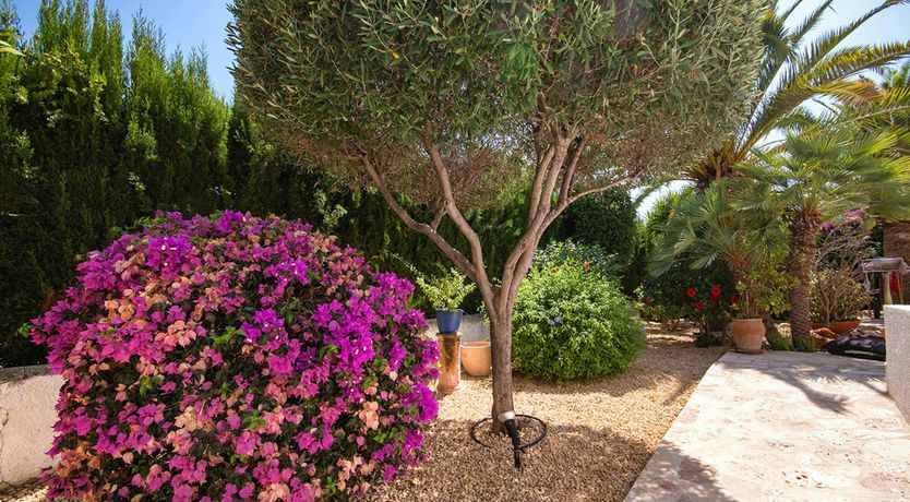 Photo of The Spanish Breeze