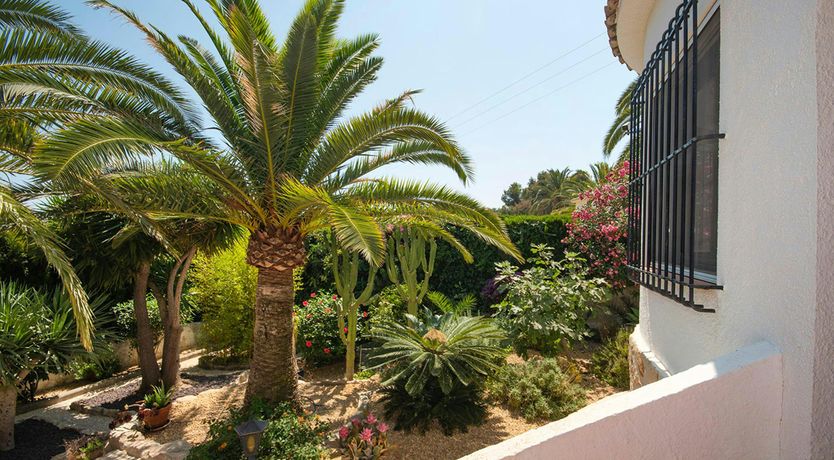 Photo of The Spanish Breeze