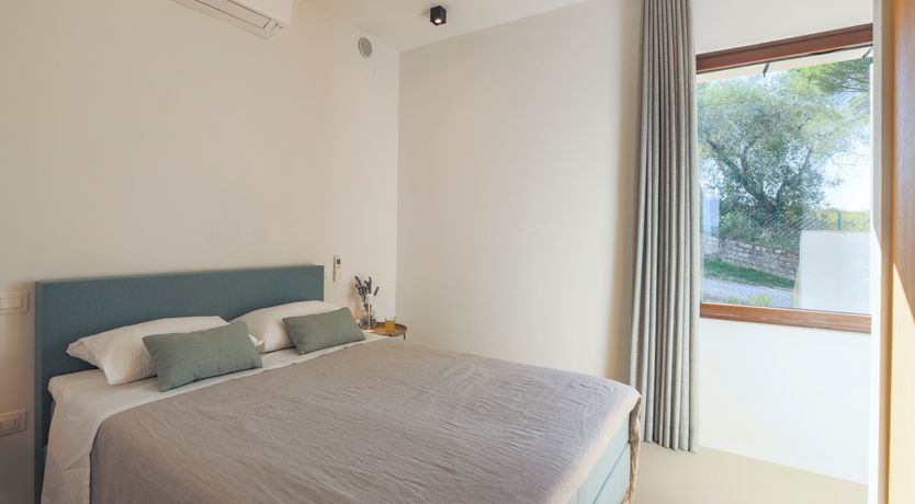 Photo of Peace is Here