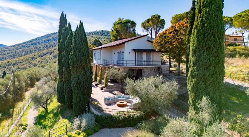 Photo of Peace is Here