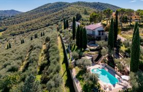 Photo of peace-is-here