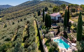 Photo of Peace is Here