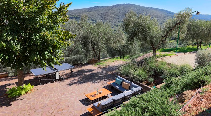 Photo of Peace is Here