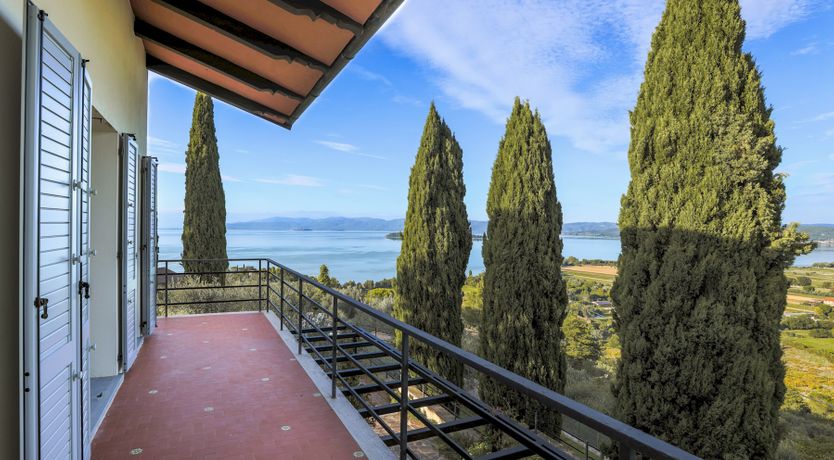 Photo of Peace is Here