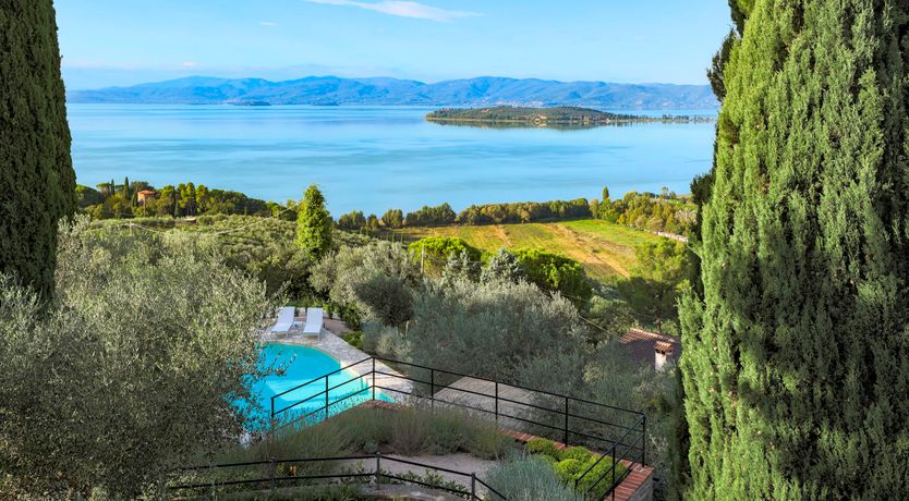 Photo of Peace is Here