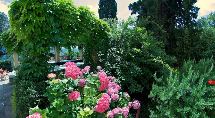 Photo of Tuscan Grandeur