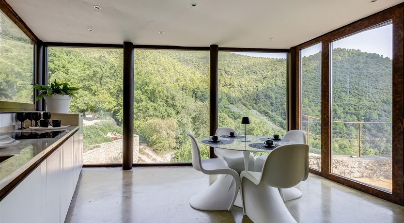 Photo of Old Olive Shade