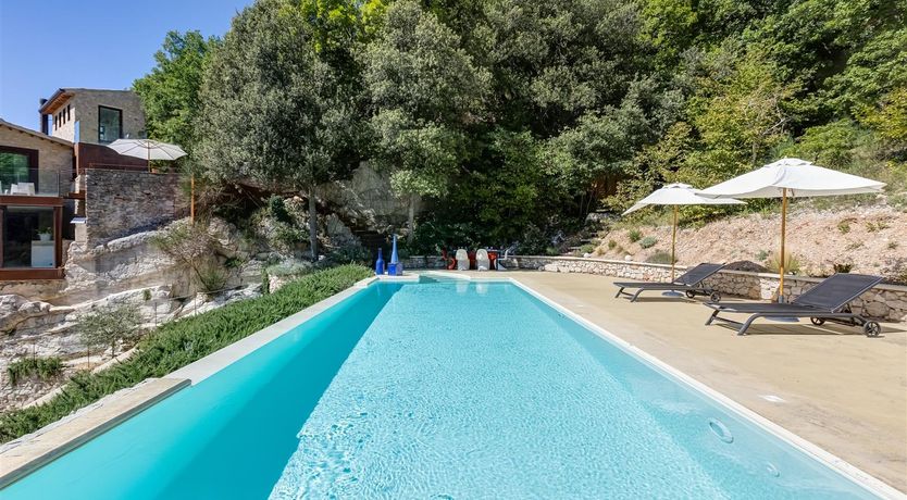 Photo of Old Olive Shade