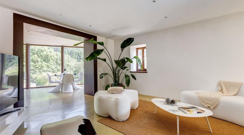 Photo of Old Olive Shade