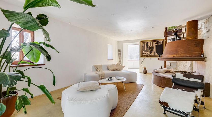 Photo of Old Olive Shade