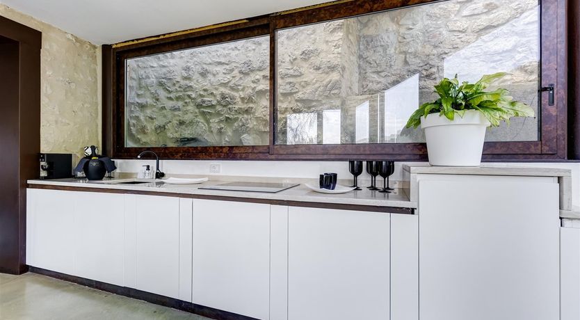 Photo of Old Olive Shade