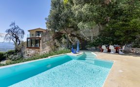 Photo of Old Olive Shade