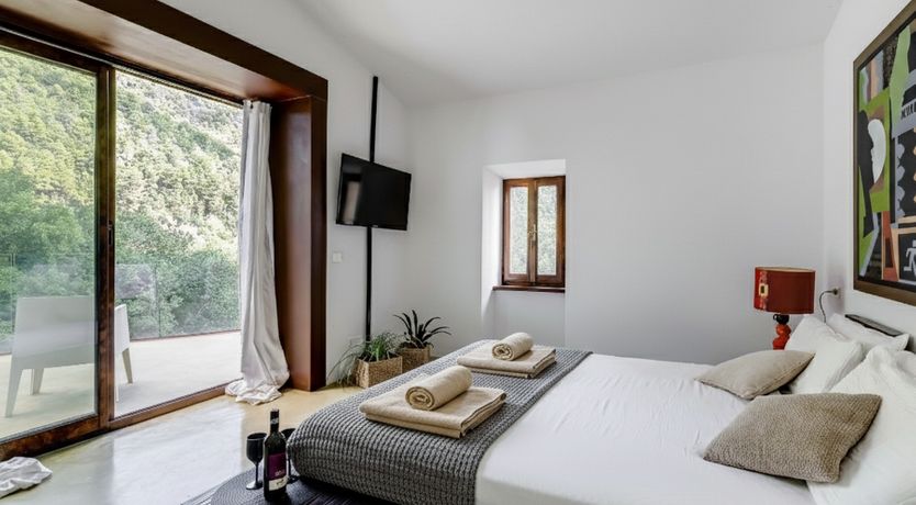 Photo of Old Olive Shade