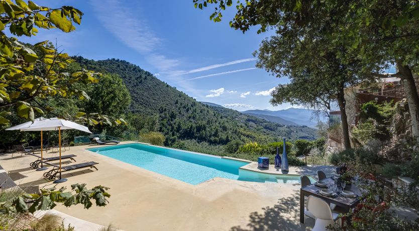 Photo of Old Olive Shade