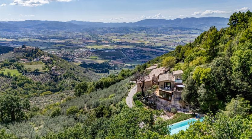 Photo of Old Olive Shade