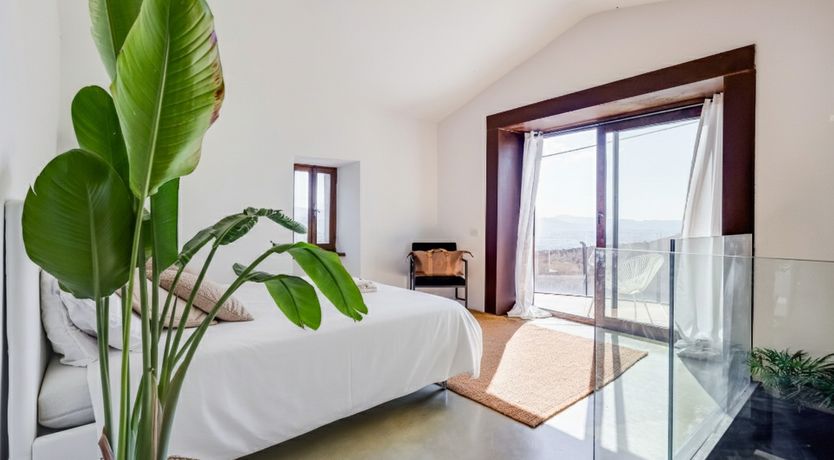 Photo of Old Olive Shade