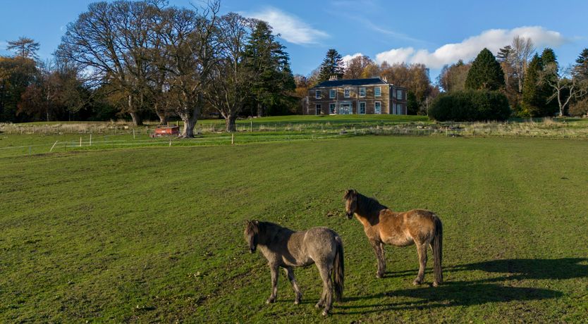 Photo of Donview Manor