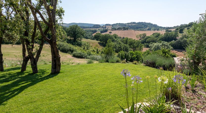 Photo of Quiet Garden Serenity