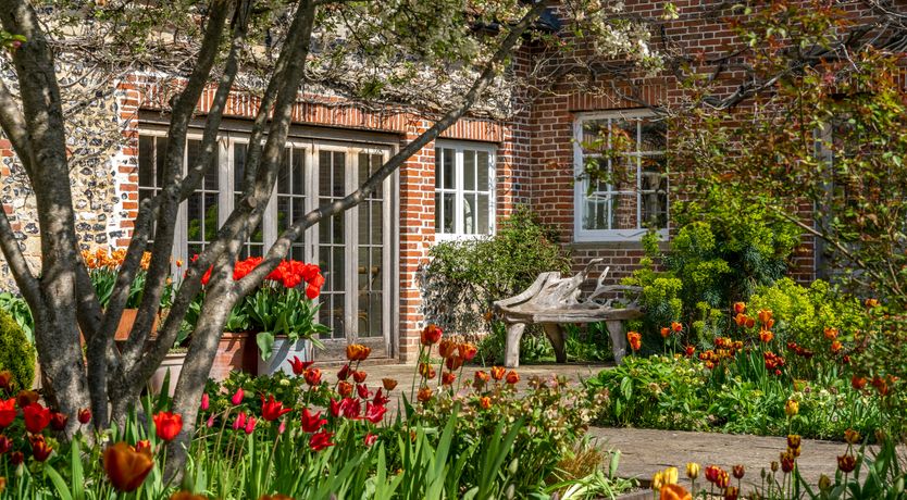 Photo of Ancient Groves