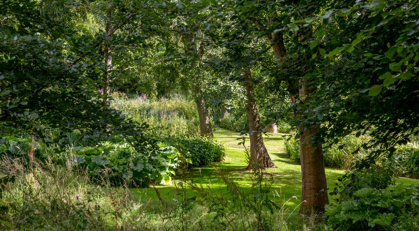 Photo of Ancient Groves