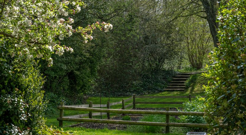 Photo of Ancient Groves