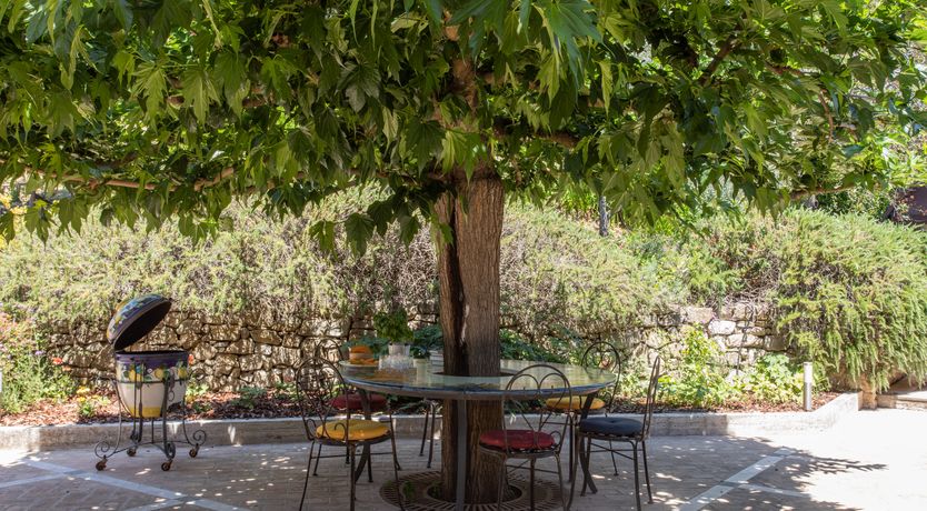 Photo of Lovely Peace