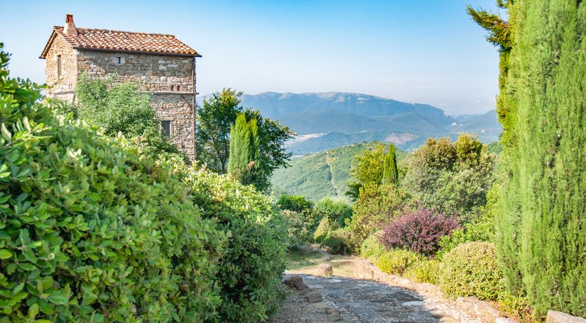 Photo of Watchtower Stories