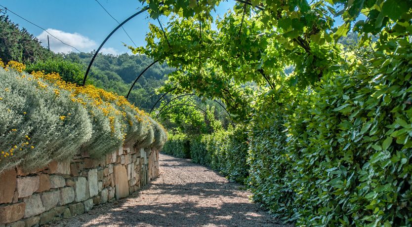 Photo of Watchtower Stories