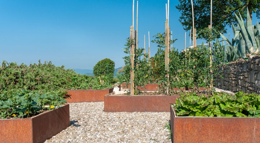 Photo of Watchtower Stories