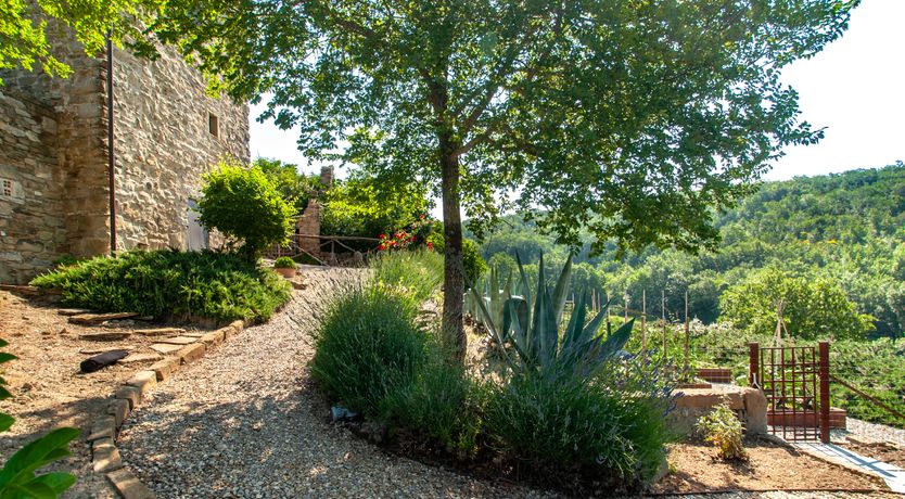 Photo of Watchtower Stories