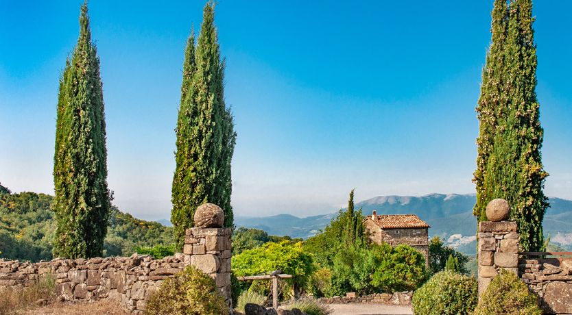 Photo of Watchtower Stories