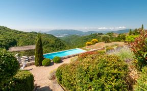 Photo of Watchtower Stories