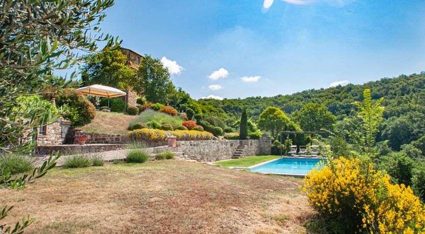 Photo of Watchtower Stories