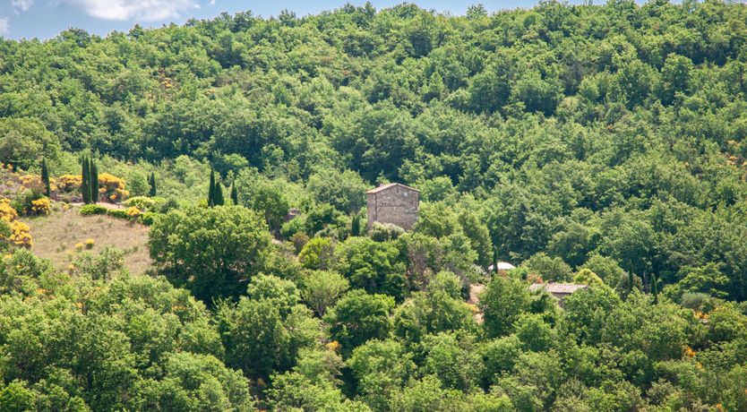 Photo of Watchtower Stories