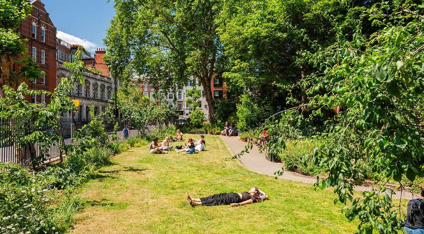 Photo of The Glass Horizon