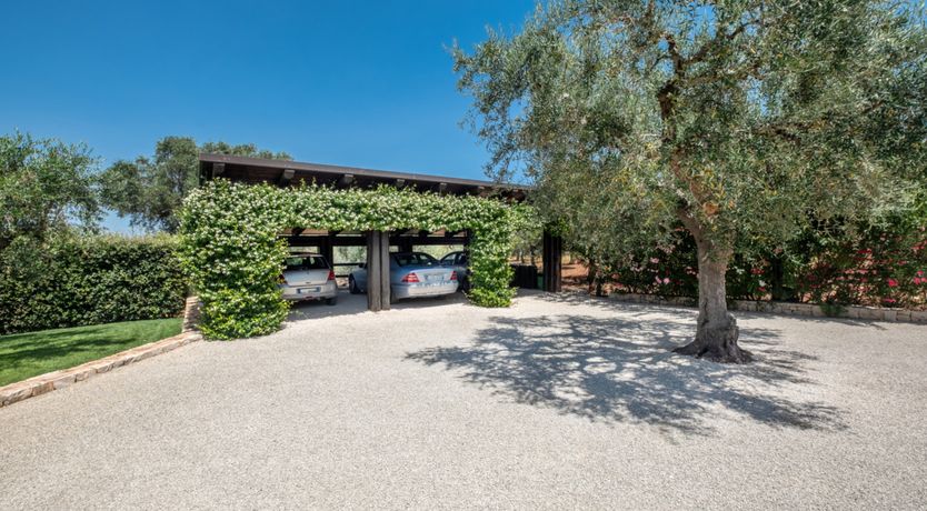 Photo of A Sunny Realm