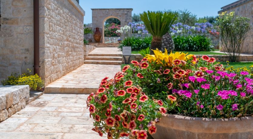 Photo of A Sunny Realm