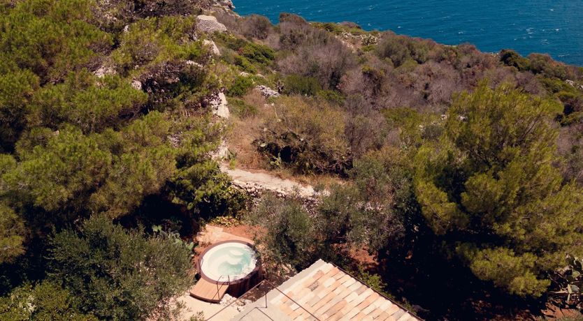 Photo of The Dolce Gaze