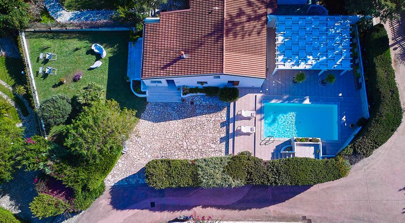 Photo of Citrus View