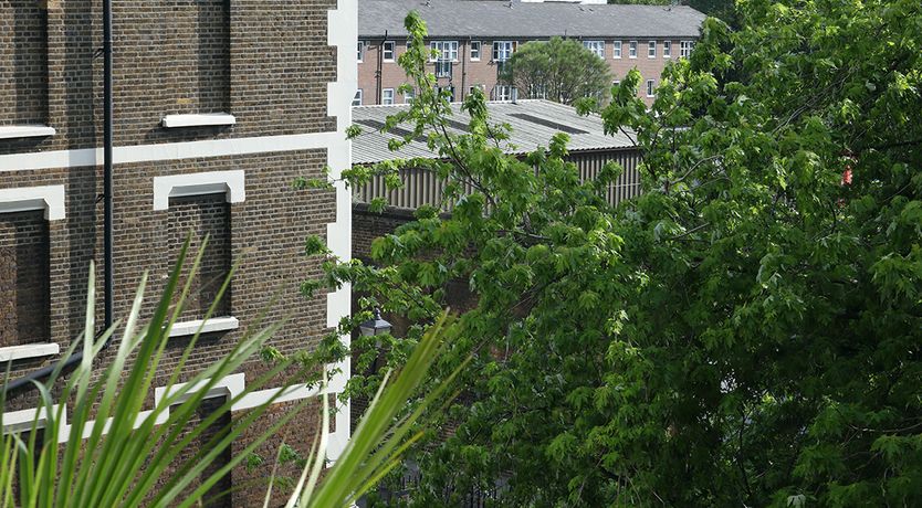 Photo of Let the Light Shine