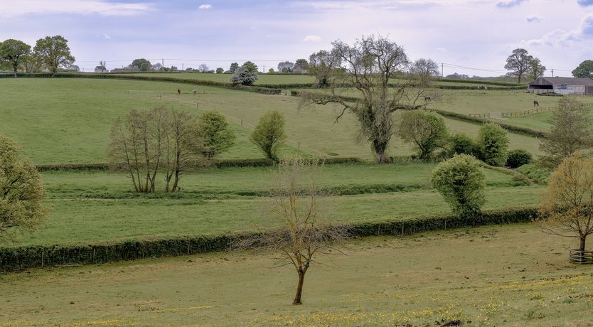 Photo of Penny-Farthing