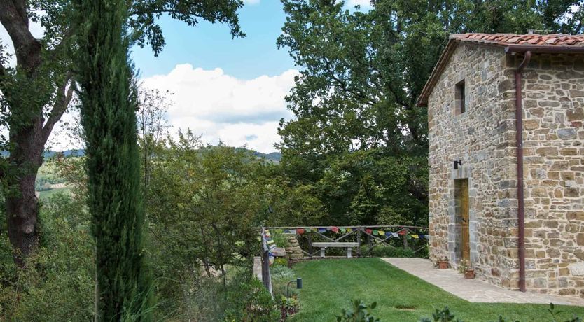 Photo of Vineyard Light