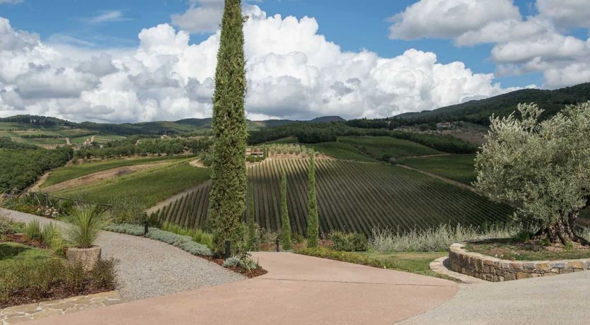 Photo of Vineyard Light