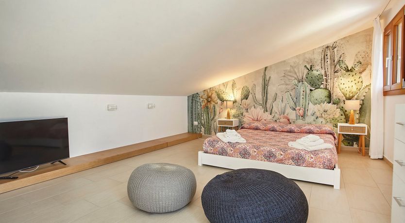 Photo of The Olive Oasis
