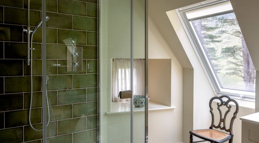 Photo of Dazzling Crest