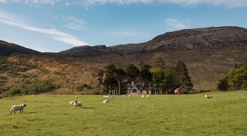 Photo of Dazzling Crest