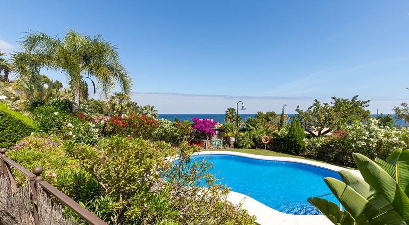 Photo of Fuchsia Feliz