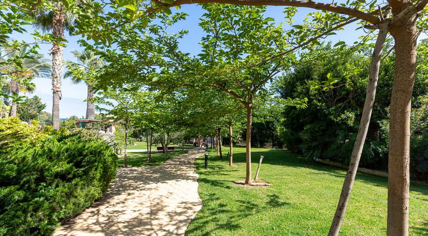 Photo of Fuchsia Feliz