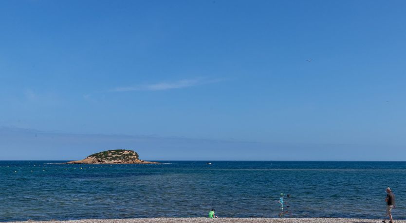 Photo of Fuchsia Feliz