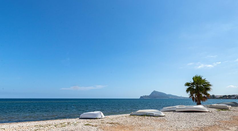 Photo of Fuchsia Feliz